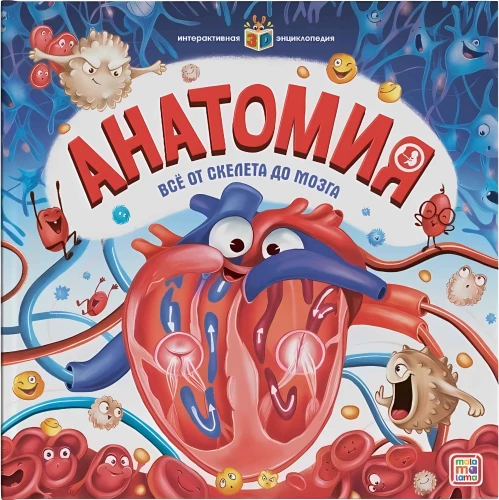 Interactive Encyclopedia. Anatomy