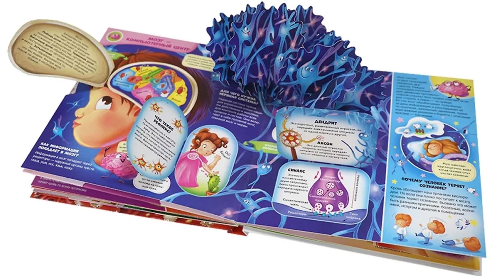 Interactive Encyclopedia. Anatomy