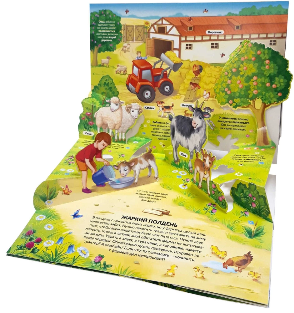3D Encyclopedia-Panorama. Farm