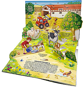 3D Encyclopedia-Panorama. Farm