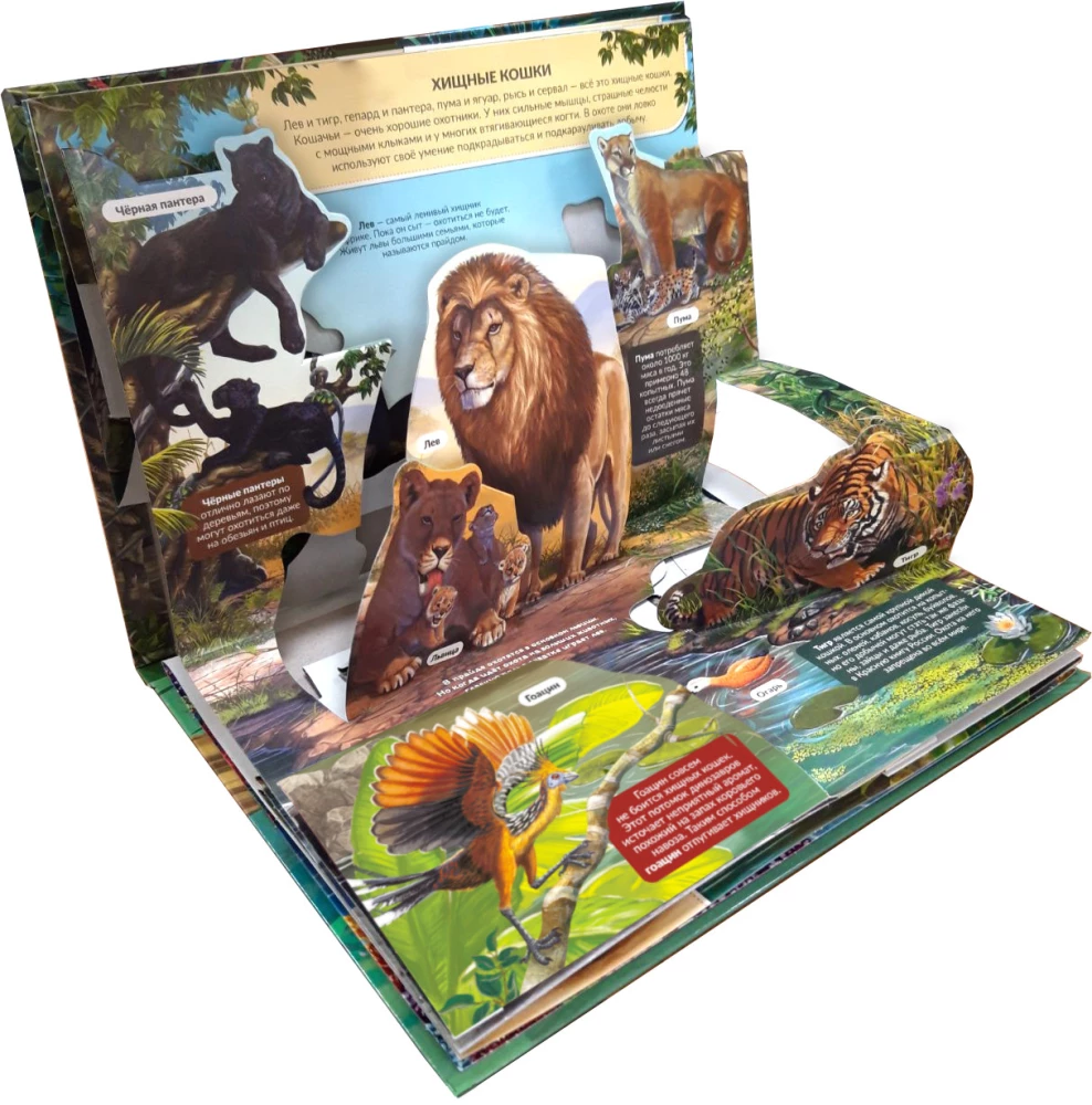 3D Encyclopedia-Panorama. Predators