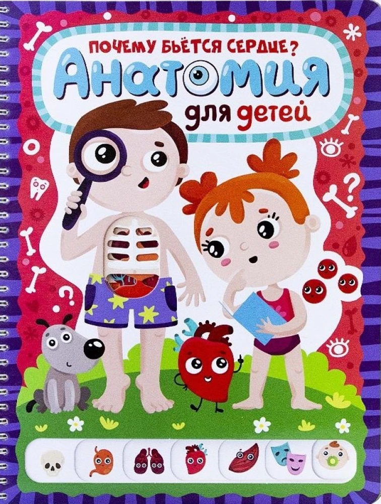Why does the heart beat? Anatomy for children