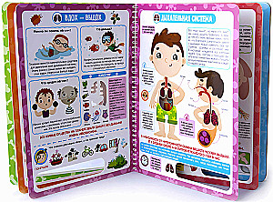 Why does the heart beat? Anatomy for children