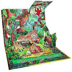 3D Encyclopedia-Panorama. Jungle