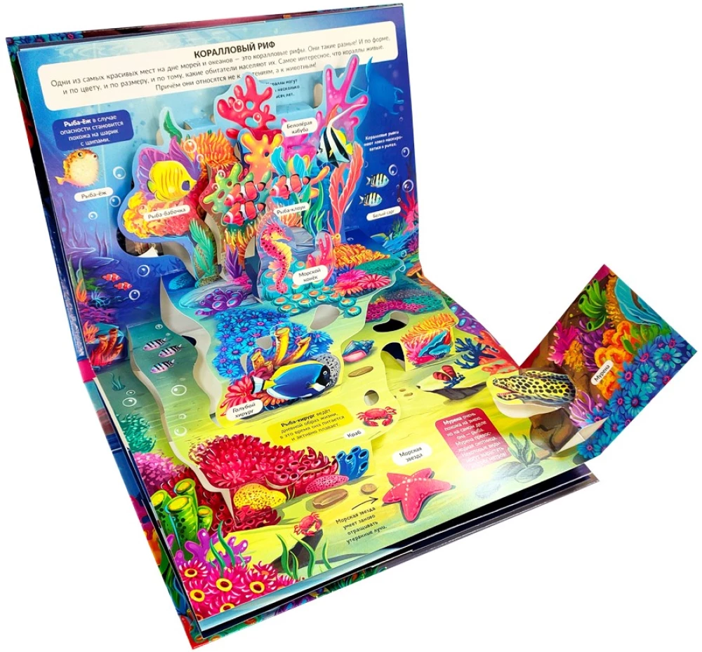3D Encyclopedia-Panorama. Sea