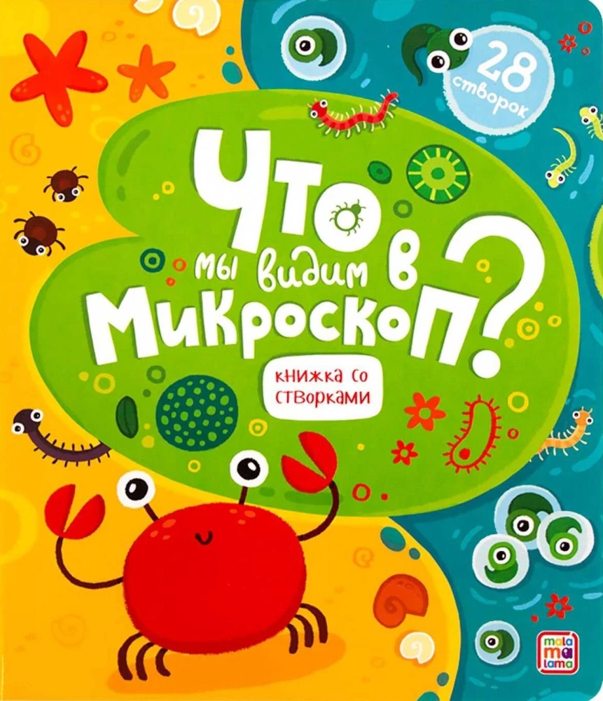What do we see under the microscope? A book with flaps