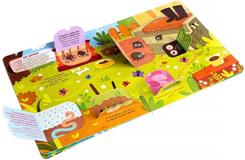 What do we see under the microscope? A book with flaps