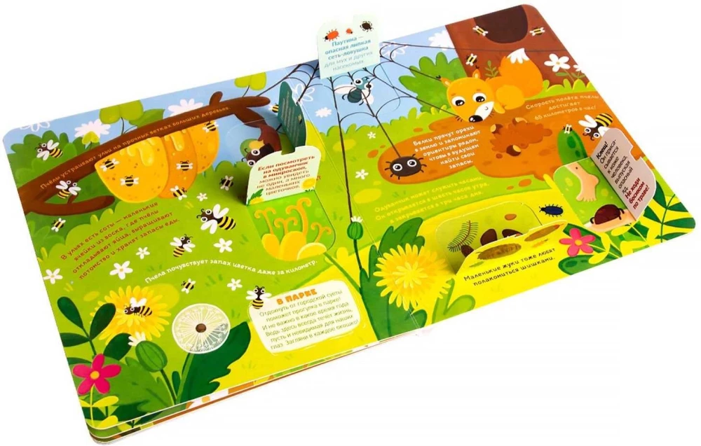 What do we see under the microscope? A book with flaps