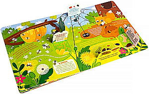What do we see under the microscope? A book with flaps