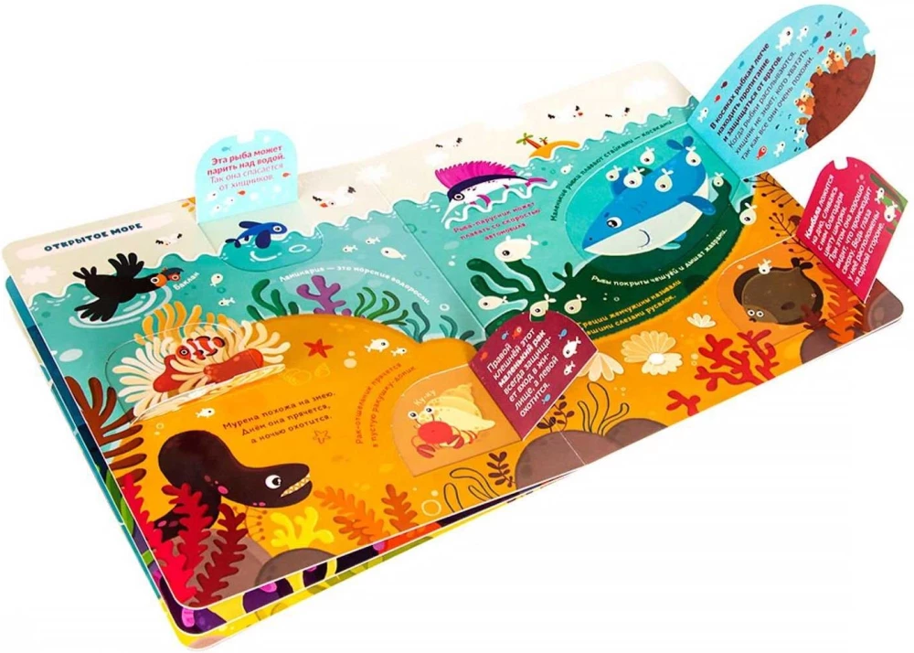 What is there under the water? A book with flaps