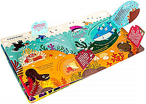 What is there under the water? A book with flaps