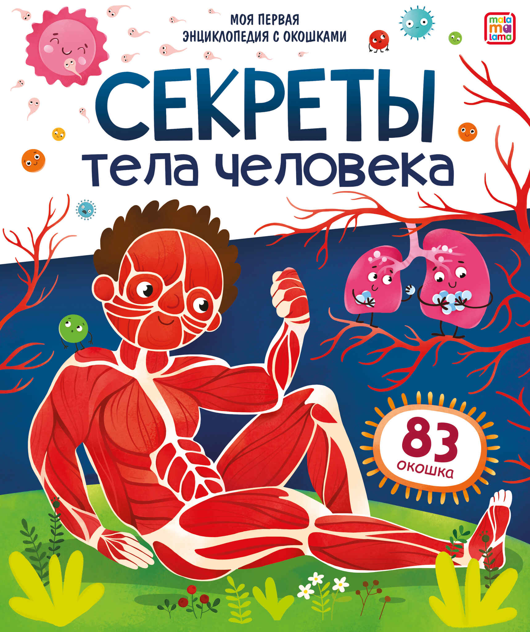 Inimese keha saladused. Minu esimene entsüklopeedia akendega