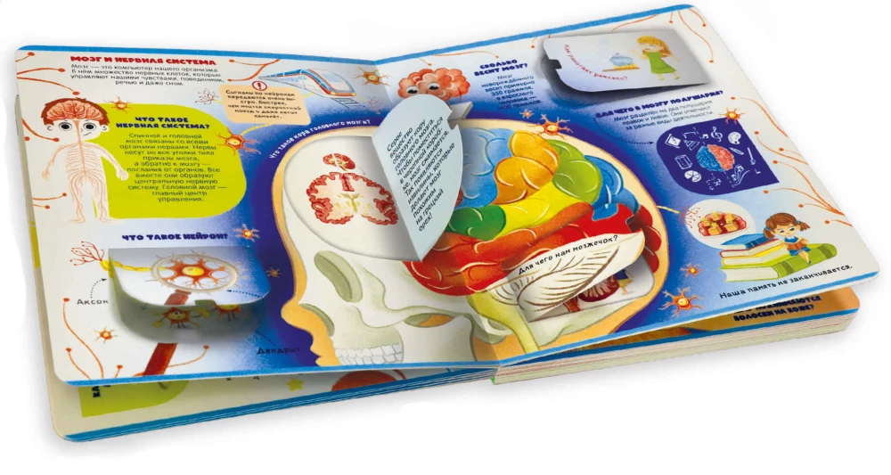 Secrets of the Human Body. My First Encyclopedia with Windows