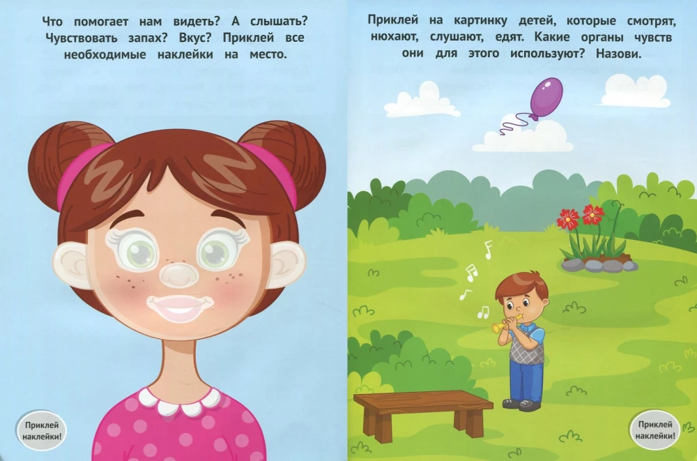 My Body 1+. A Developmental Book with Stickers