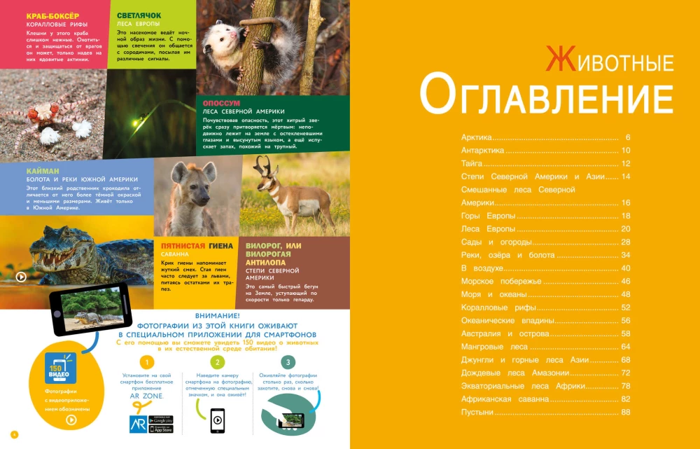 Encyclopedias with photos and video applications - Animals