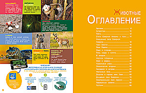 Encyclopedias with photos and video applications - Animals