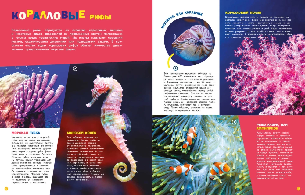 Encyclopedias with photos and video applications - Animals