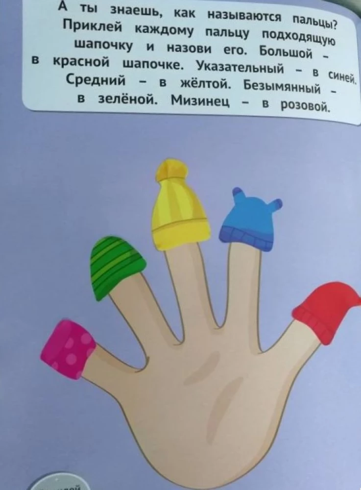 My Body 1+. A Developmental Book with Stickers
