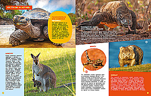 Encyclopedias with photos and video applications - Animals
