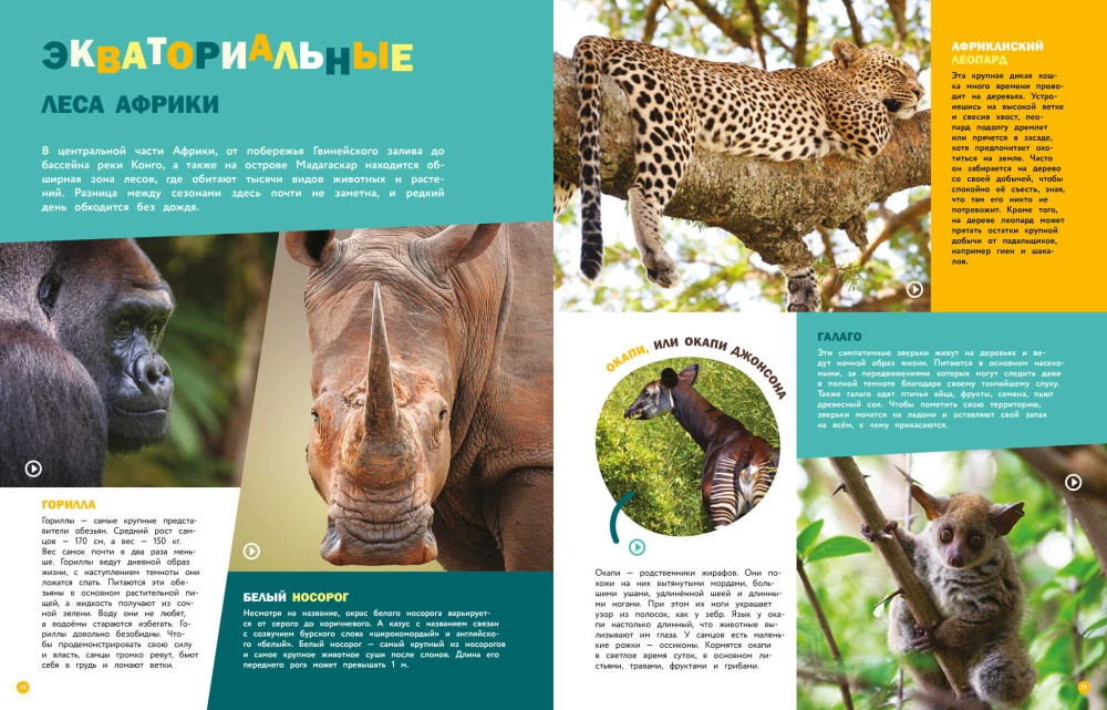 Encyclopedias with photos and video applications - Animals