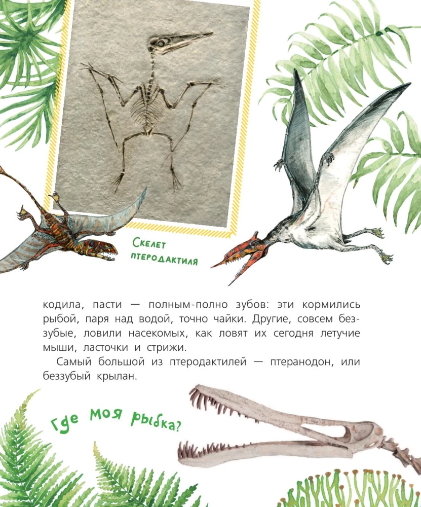 Curious Tales about Dinosaurs