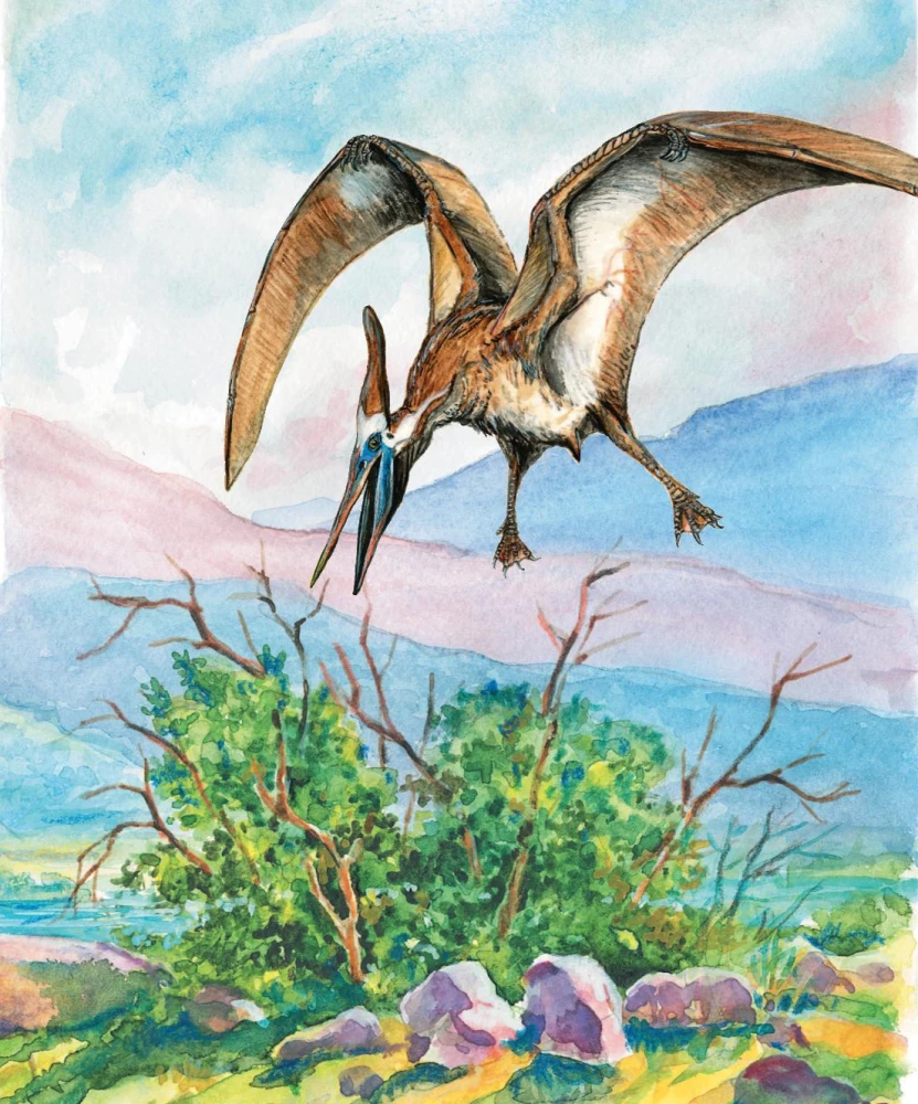 Curious Tales about Dinosaurs