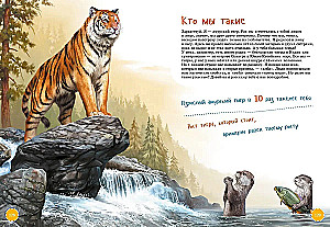 The Boldest Animals. Encyclopedia