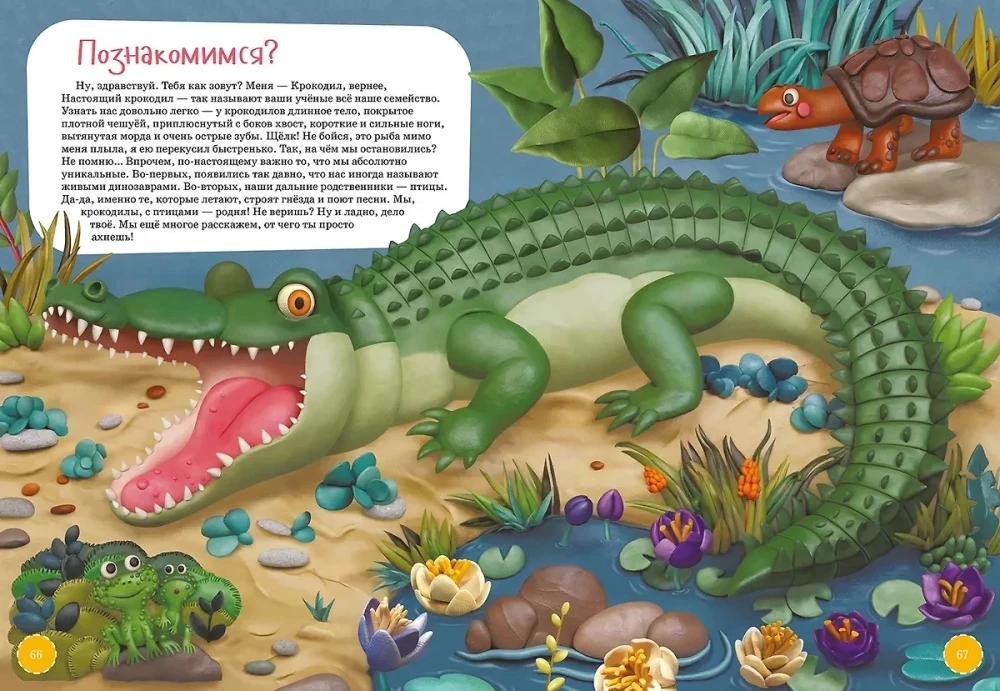 The Boldest Animals. Encyclopedia