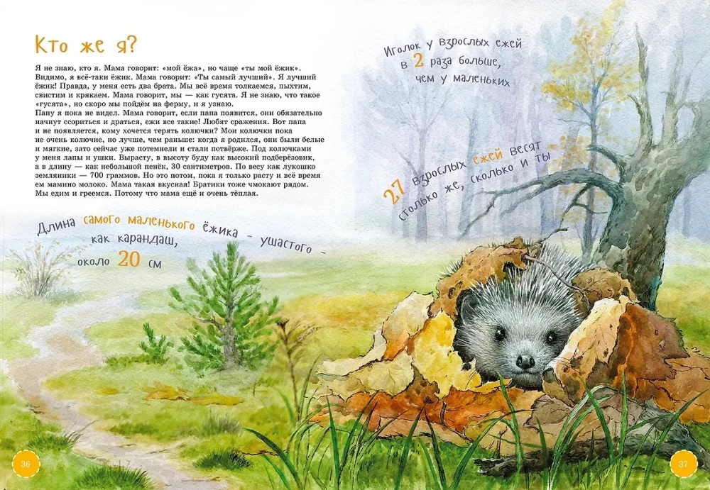 The Boldest Animals. Encyclopedia