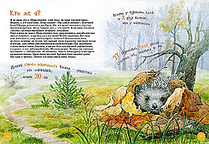 The Boldest Animals. Encyclopedia