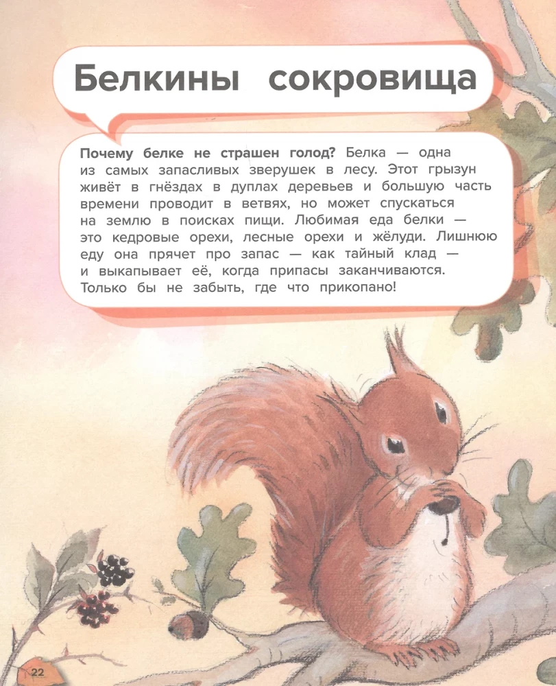 The Wonders of the Animal World. 44 Amazing Facts About Animal Life