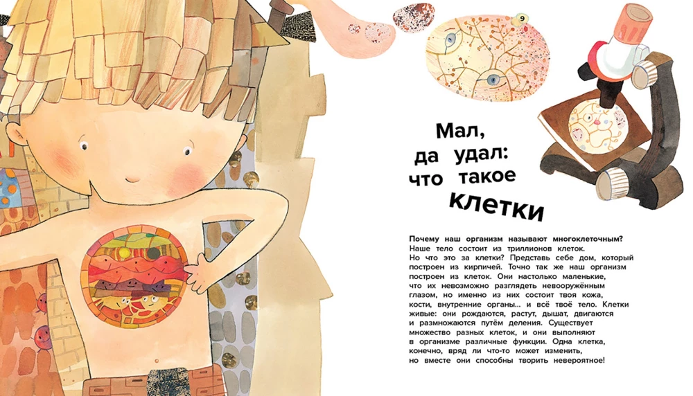 The Human Body. 44 Amazing Facts About the Human Body