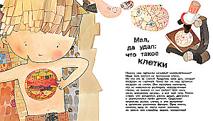 The Human Body. 44 Amazing Facts About the Human Body