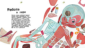 The Human Body. 44 Amazing Facts About the Human Body