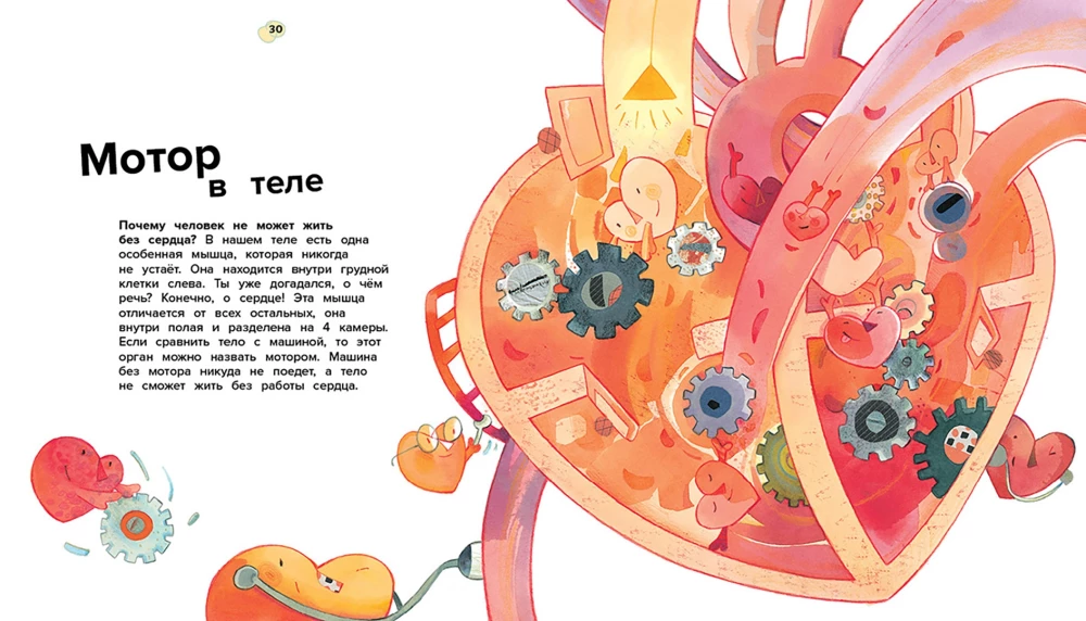 The Human Body. 44 Amazing Facts About the Human Body
