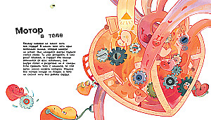 The Human Body. 44 Amazing Facts About the Human Body