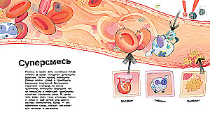The Human Body. 44 Amazing Facts About the Human Body