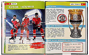 Hockey. Encyclopedia with Developing Tasks