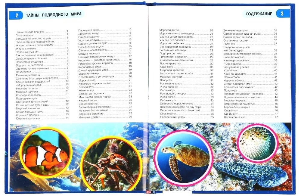 Secrets of the Underwater World