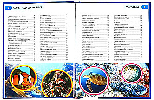Secrets of the Underwater World
