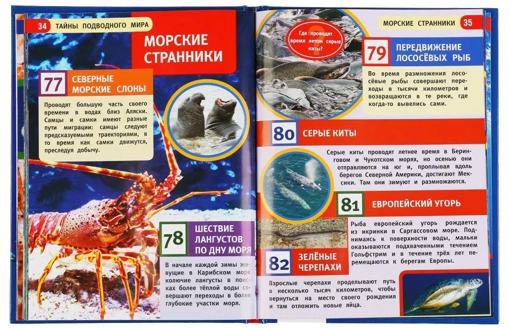 Secrets of the Underwater World