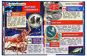 Secrets of the Underwater World