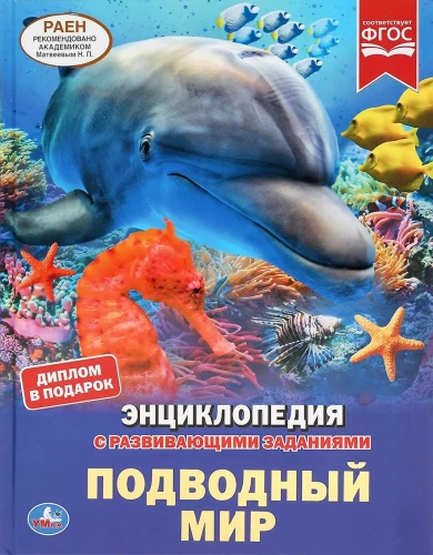 Подводный мир