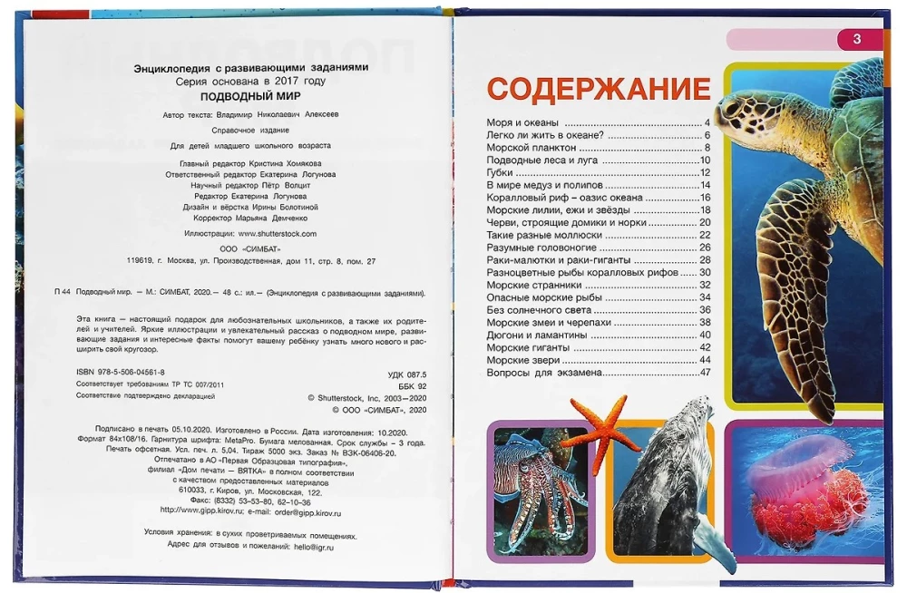 Подводный мир