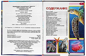 Подводный мир