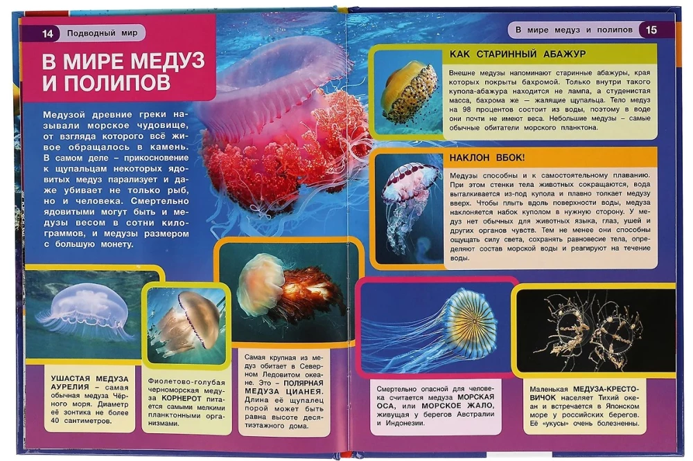 Подводный мир