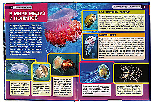 Подводный мир