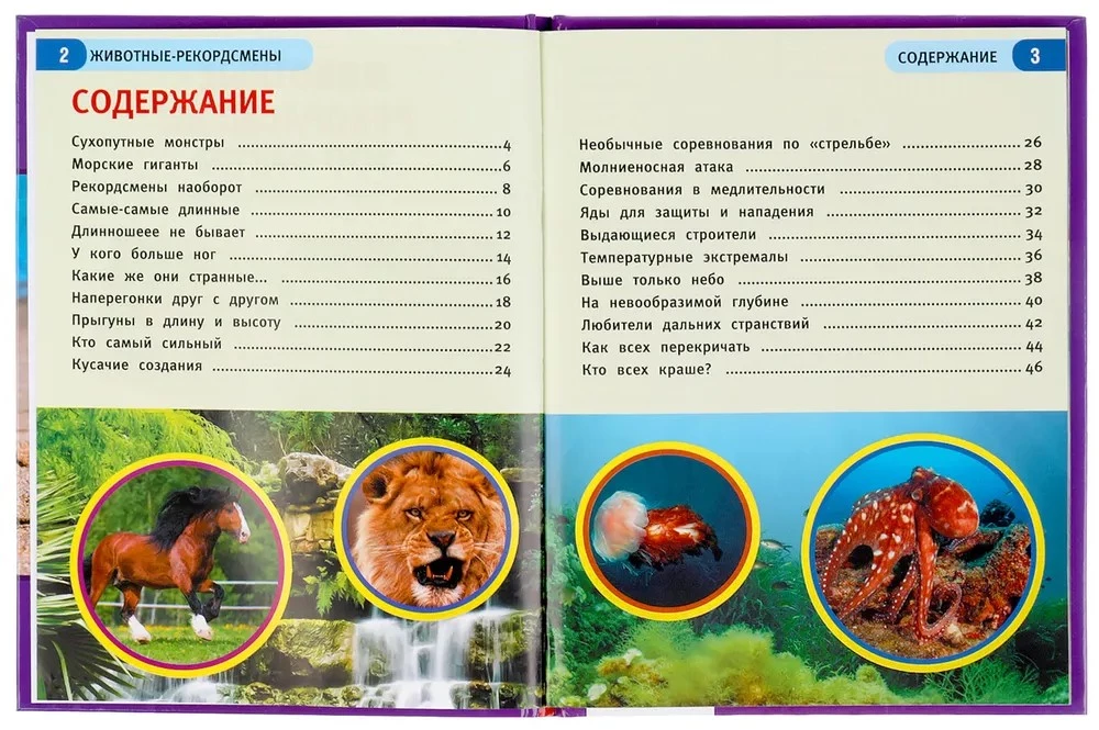 Record-breaking Animals