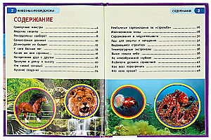 Record-breaking Animals