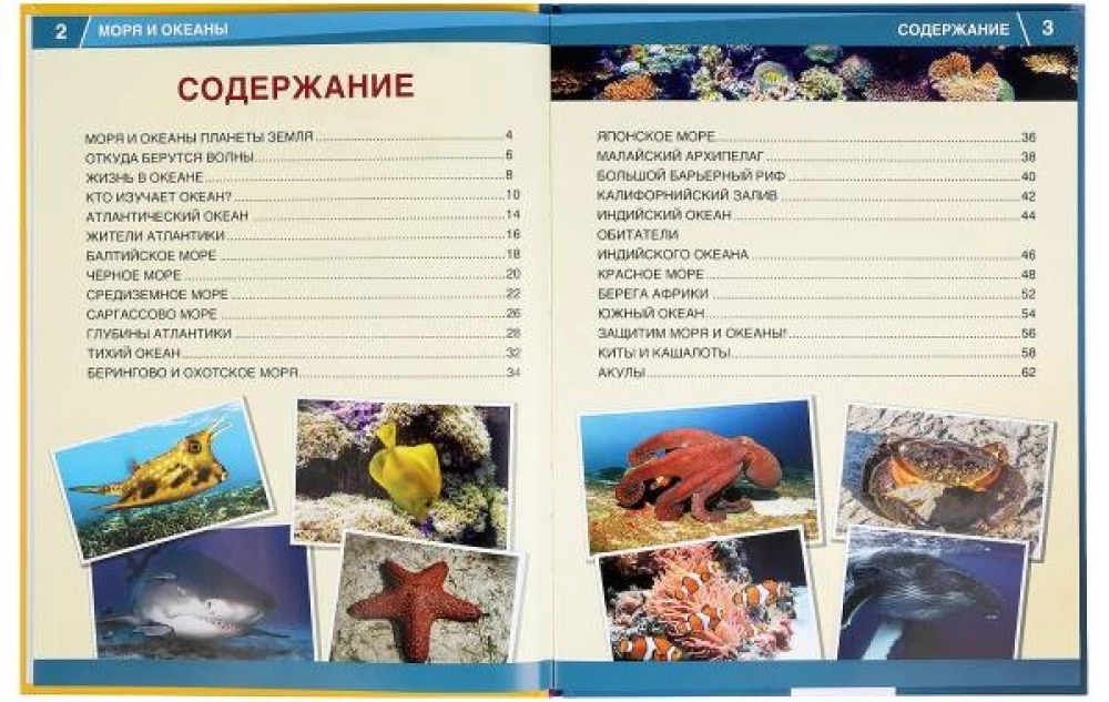 Encyclopedia of 365 Facts - Seas and Oceans